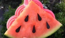 纸飞机网红吃瓜,揭秘娱乐圈幕后风云