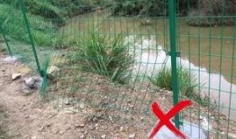 钓鱼人卷毛爆料视频大全,揭秘钓鱼技巧与趣事大盘点